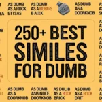 Best Similes for Dumb