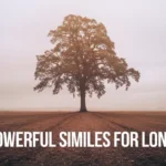 Powerful Similes for Loneliness