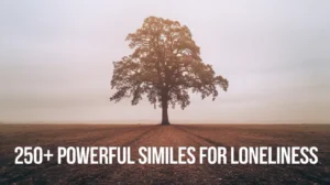 Powerful Similes for Loneliness