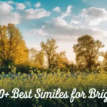 best-similes-for-bright