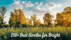 best-similes-for-bright