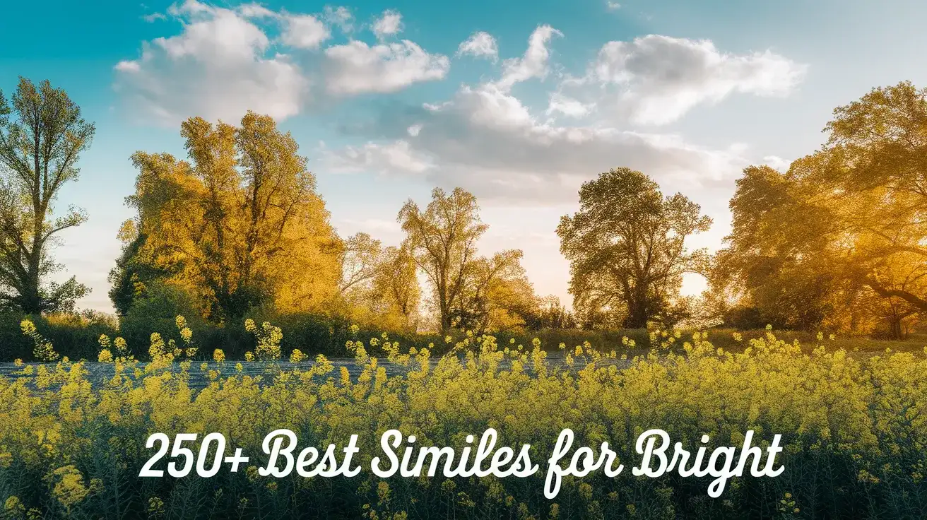 250+ Best Similes for Bright