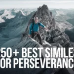 Best Similes for Perseverance