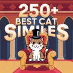 Best Cat Similes