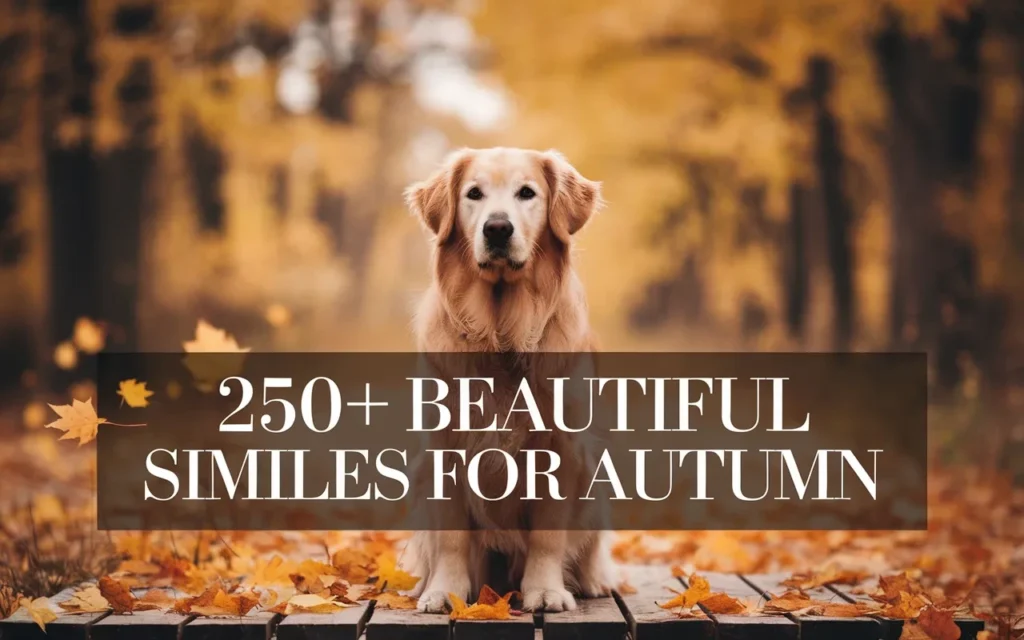 Beautiful Similes for Autumn
