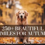 Beautiful Similes for Autumn