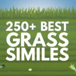 Best Grass Similes