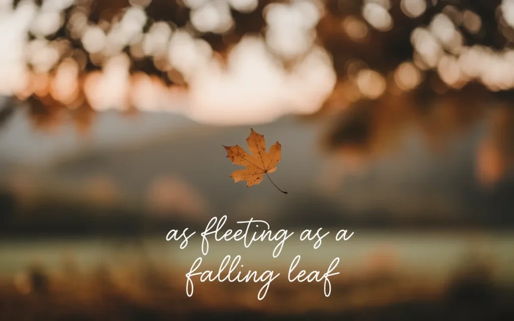 As Fleeting as a Falling Leaf